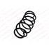 KILEN Front Coil Spring (Single unit)   21047