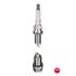 NGK Spark Plug (single)   2249