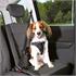 Super Comfort Seat Belt Harness for Dogs   Small Dogs