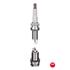 NGK Spark Plug (single)   2262