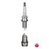 NGK Spark Plug (single)   2341