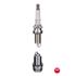 NGK Spark Plug (single)   2355