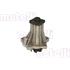 METELLI Water Pump   240429A