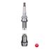 NGK Spark Plug (single)   2513