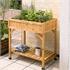 Sprouting Wooden Raised Herb Garden Planter