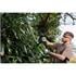 Draper 31862 18V Hedge Trimmer, 1 x 2.0Ah Battery, 1 x Charger