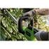 Draper 31862 18V Hedge Trimmer, 1 x 2.0Ah Battery, 1 x Charger