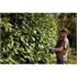 Draper 31865 18V Pole Hedge Trimmer, 1 x 2.0Ah Battery, 1 x Charger