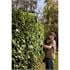 Draper 31865 18V Pole Hedge Trimmer, 1 x 2.0Ah Battery, 1 x Charger