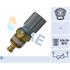 FAE Coolant Temperature Sensor   33734