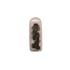 Connect 36515 Push Rivet   Honda universal use   Pack Of 10