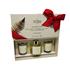 Wild Fern Christmas Candle Trio Gift Set   Candles & Diffuser