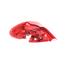 Right Rear Lamp (Hatchback) for Peugeot 207 2010 on