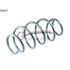 CS Germany Front Coil Spring (Single Unit)   14504167