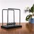 Newton's Cradle