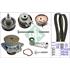 INA Timing Belt Kit   530008931