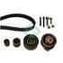 INA Timing Belt Kit   530050310
