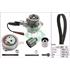 INA Timing Belt Kit with Water Pump   530065030