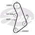 Gates Timing Belt   5491XS