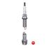 NGK Spark Plug (single)   5987