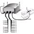 HELLA Voltage Transformer