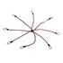 Spider elastic cords, 8 arms   O 8 mm