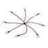 Spider elastic cords, 8 arms   O 8 mm