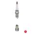 NGK Spark Plug (single)   6313