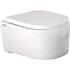 WALL HUNG TOILET TIP RIMLESS INCL. SEAT