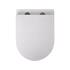 WALL HUNG TOILET TIP RIMLESS INCL. SEAT