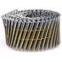 Coil nails 64x2,5mm 3600szt