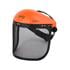 FACE SHIELD