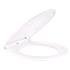 TOILET SEAT PP SOFT CLOSE QUICK RELEASE