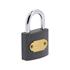 IRON PADLOCK 32MM   GREY