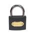IRON PADLOCK 50MM   GREY