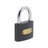 IRON PADLOCK 63MM   GREY