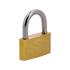 PLATED BRASS PADLOCK  30MM