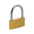 PLATED BRASS PADLOCK  50MM