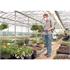 Draper 82468 Pressure Sprayer, 6.25L