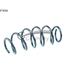 CS Germany Front Coil Spring (Single Unit)   14874366