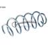 CS Germany Front Coil Spring (Single Unit)   14874384