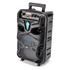 Wireless Karaoke Speaker 120W with Mic and Lightshow