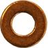 Meat & Doria Sealing Ring, injector shaft   9166