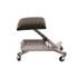 Roller Seat