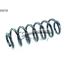 CS Germany Rear Coil Spring (Single Unit)   14950735