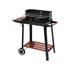 CHARCOAL GRILL WITH SHELF, 48X28CM