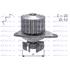 DOLZ Water Pump   C110