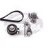 Gates Timing Belt Kit with Water Pump   KP25491XS