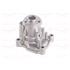 GRAF Water Pump   PA954