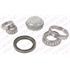 SNR Front Wheel Bearing Kit   R15138